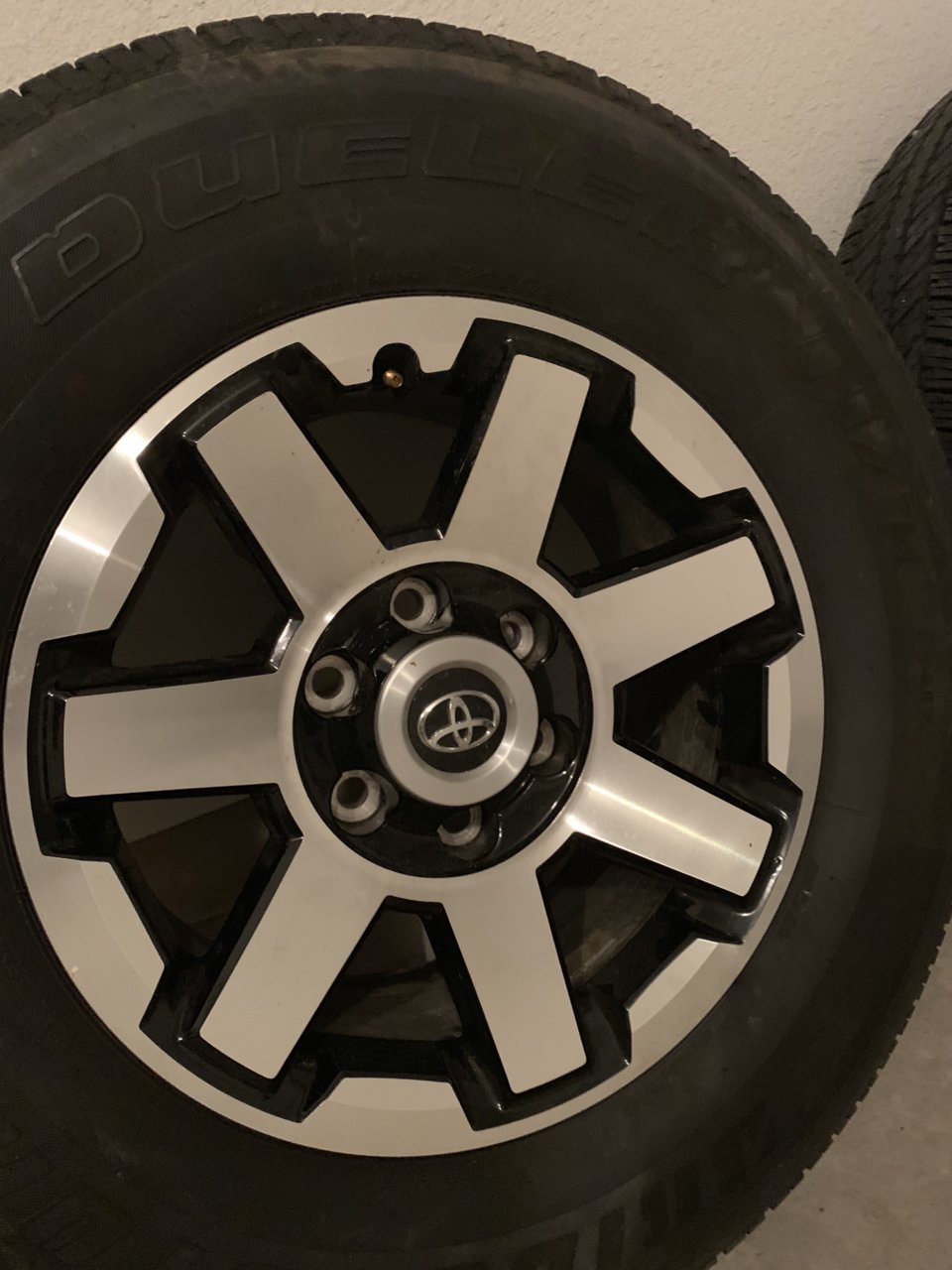 cjEBD65bQx66G3Y3yMcGeA.jpg