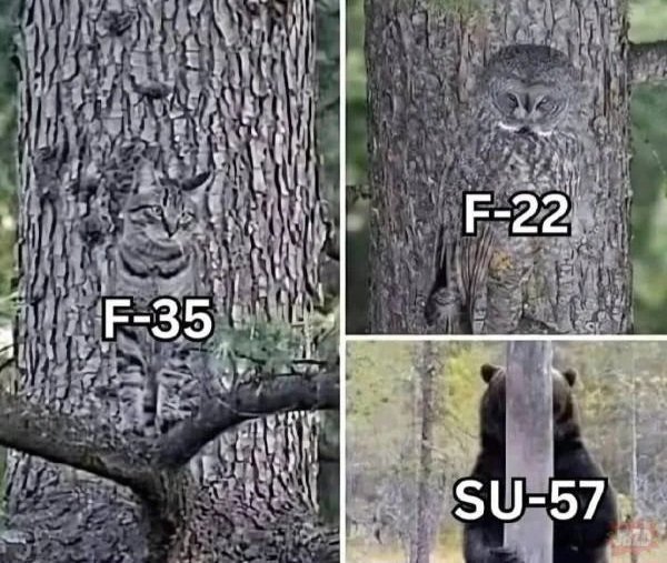 cjqFJOKFO7g07AGEpRAv6SVo6dDS3fGr.jpg