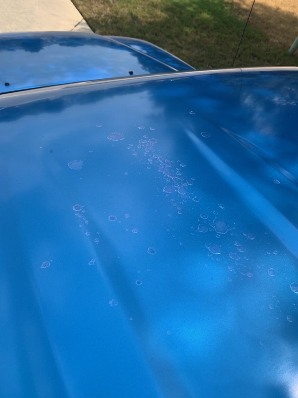 clear coat.jpg