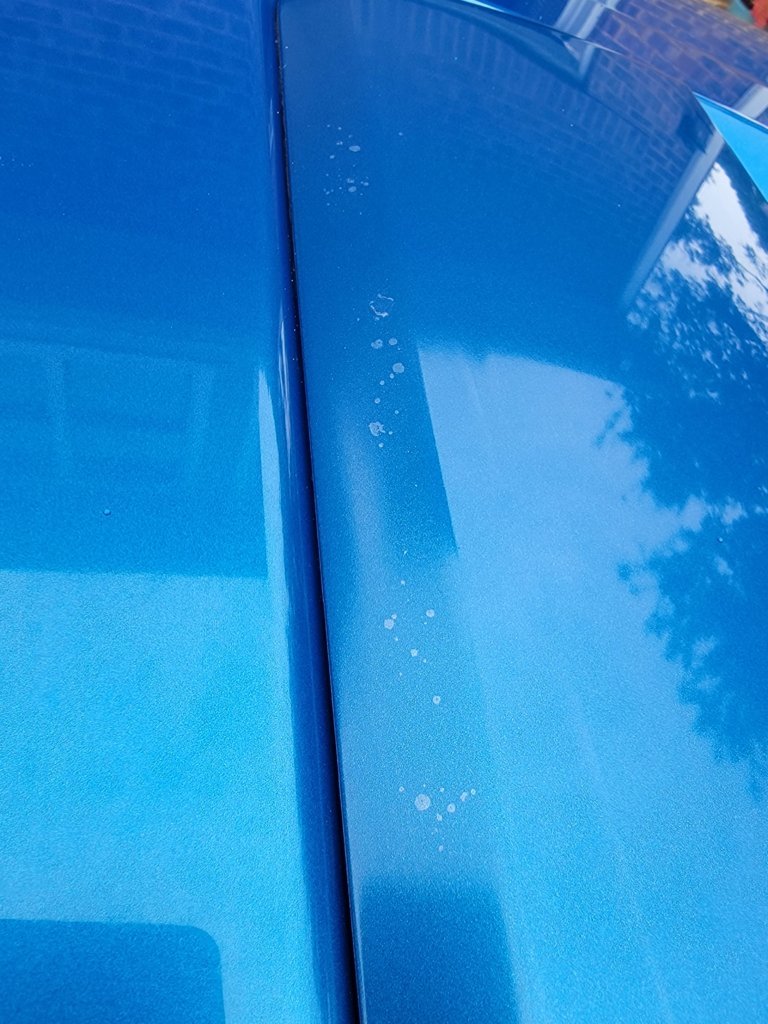 Clear Coat.jpg
