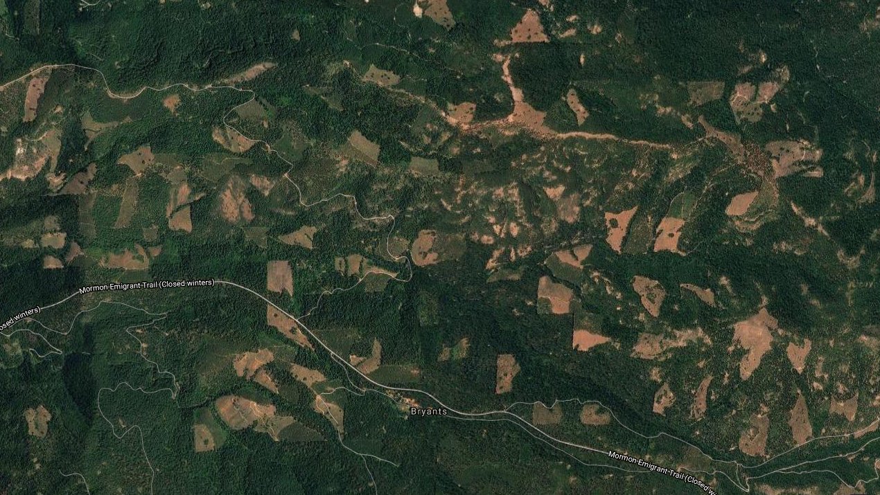 clear-cut.jpg