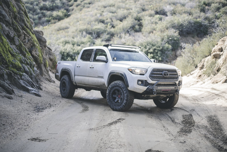 Cleghorn-03.jpg