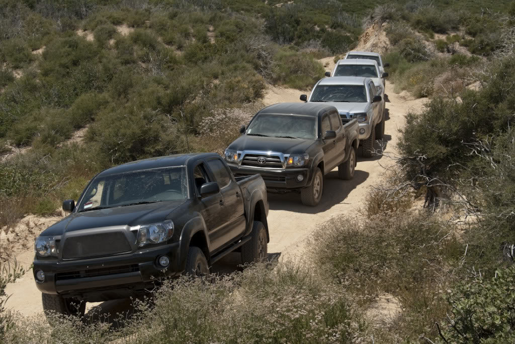 Cleghorn-25_c573578700d797f5a62c698c8bf697e1161de0dc.jpg