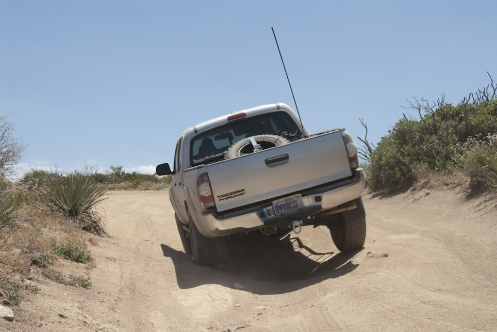 Cleghorn-29_d1505e2ca0d2a211ae924f1fd3c3786b19d13580.jpg