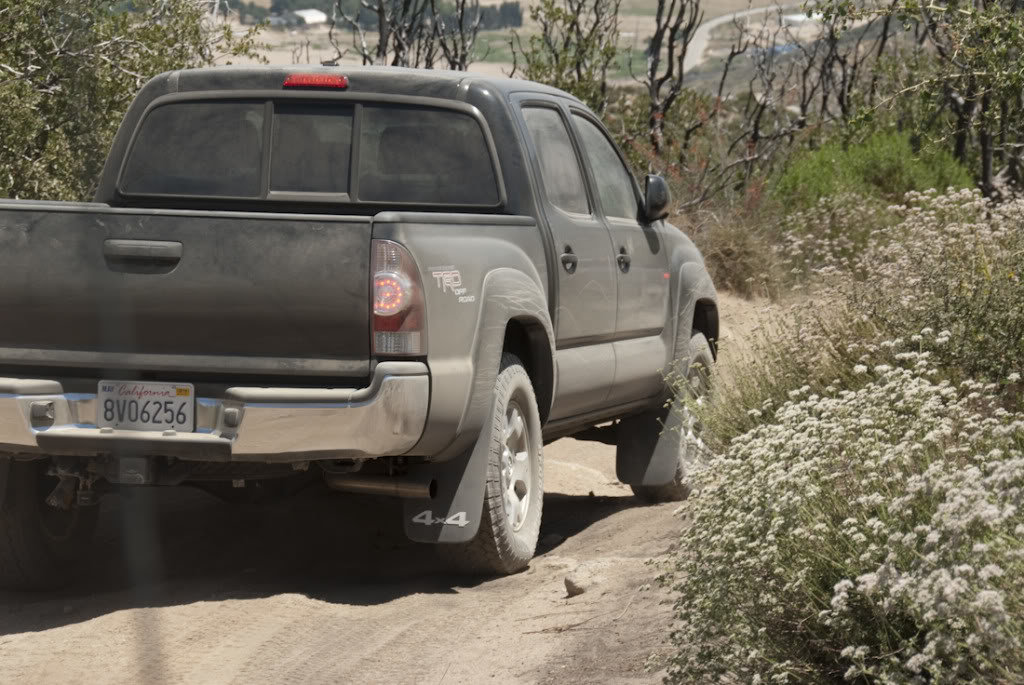 Cleghorn-33_c1a87a301b2231f6c3ef016b627593b487fedb0d.jpg