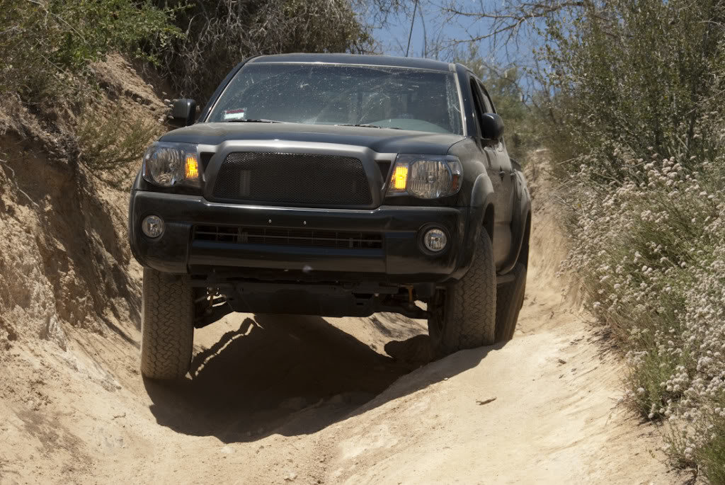 Cleghorn-39_a1b8a6e171573a7f55db64d26f05af4f0b7f1b46.jpg