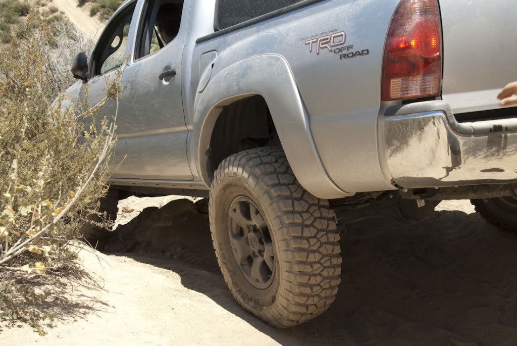 Cleghorn-40_4c49d5c6e9c58b357855fd96c7ebe74e17da673a.jpg