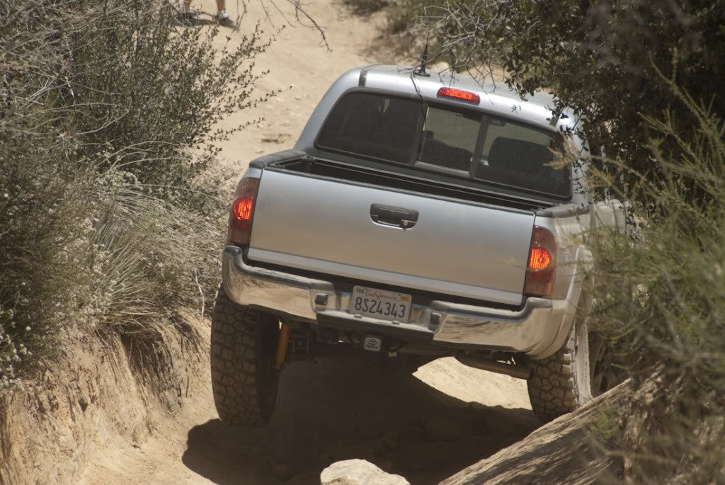 Cleghorn-44_2a48ae282abca836cc91513a667dd1a62312d6b2.jpg