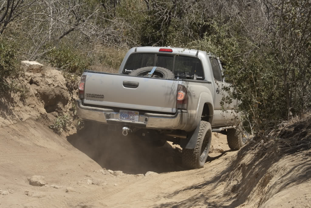 Cleghorn-48_fb71615f26ac7cc69a1409d2f27dd87f18aa4226.jpg