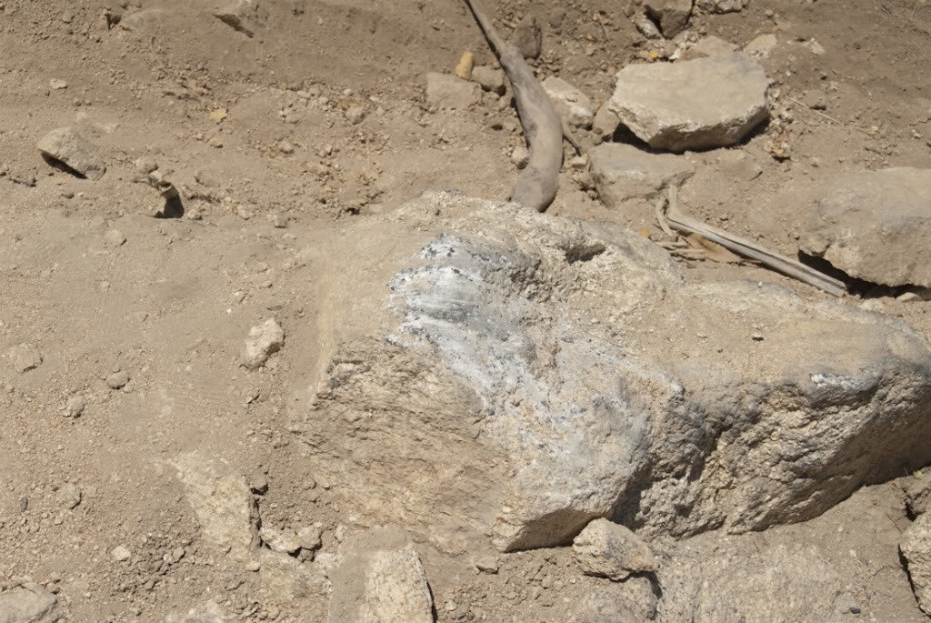 Cleghorn-50_96e66f16fb2218543578cfda388e78ce7a5b24bc.jpg