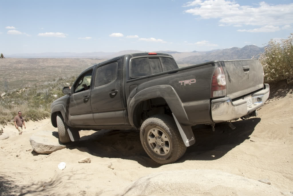 Cleghorn-76_2c99c75de2d547ab8cb5ddb3788cc2dca4382328.jpg
