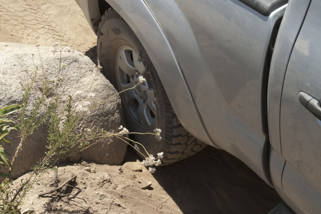 Cleghorn-78_183b6fe1253caf594c2d17bbd43b378a70f1e450.jpg