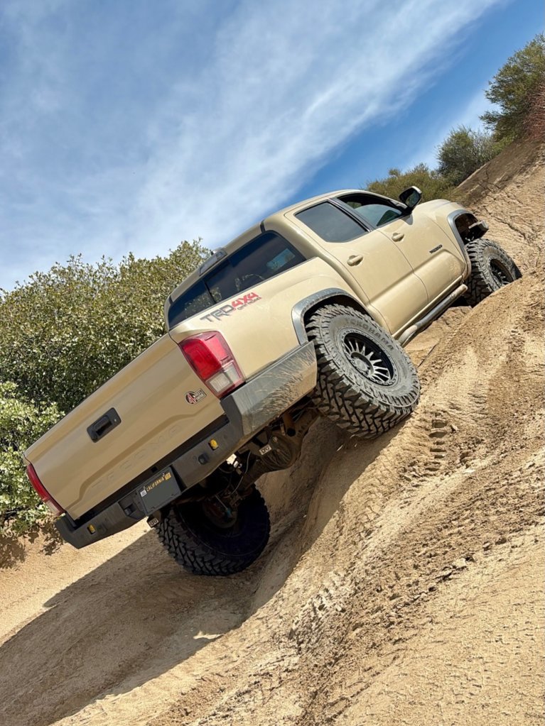 cleghorn_back1.jpg