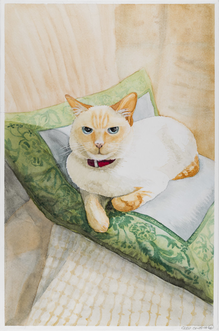 cleo-01-05-14.jpg