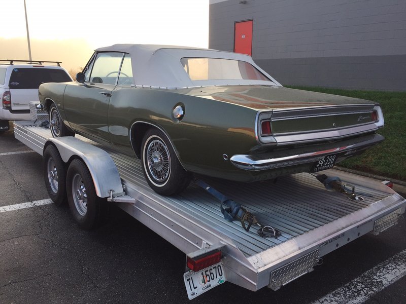Cleve Cuda LR.jpg