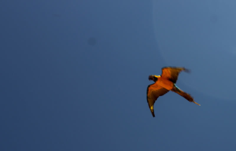 Cliffhanger-64_d7d5de86f44cb7f4e07ac57096ceee0db8044a39.jpg