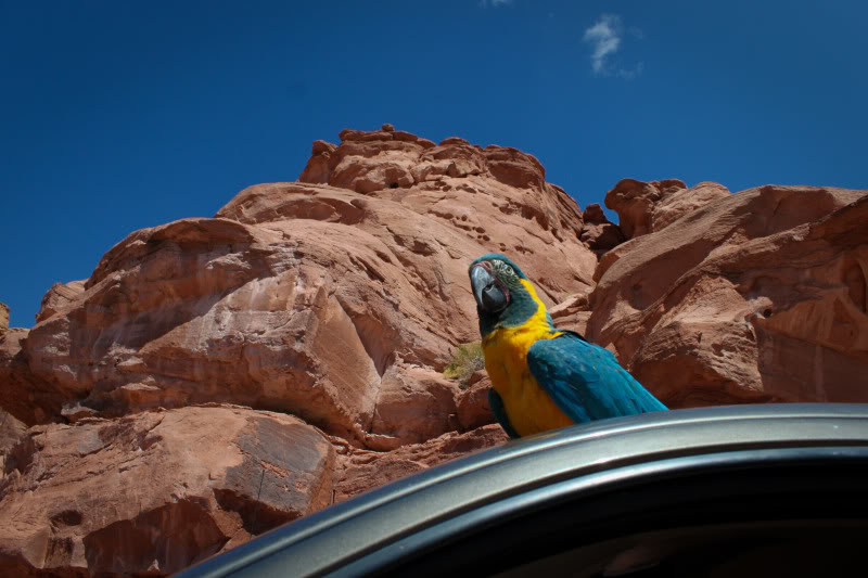 Cliffhanger-67_4ae53374f69503990bc5d92665920a3943e6919f.jpg