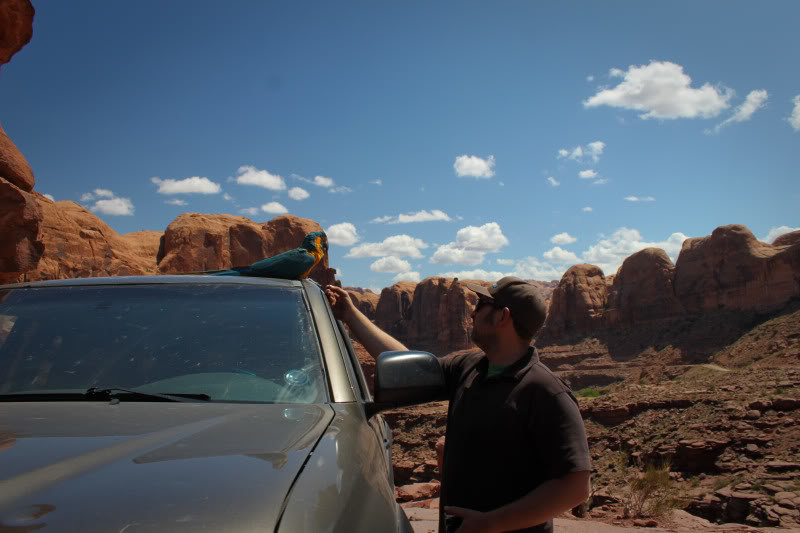 Cliffhanger-68_6fb0a86b03e1c88a10d5a9b42d4531d9131b0ed0.jpg