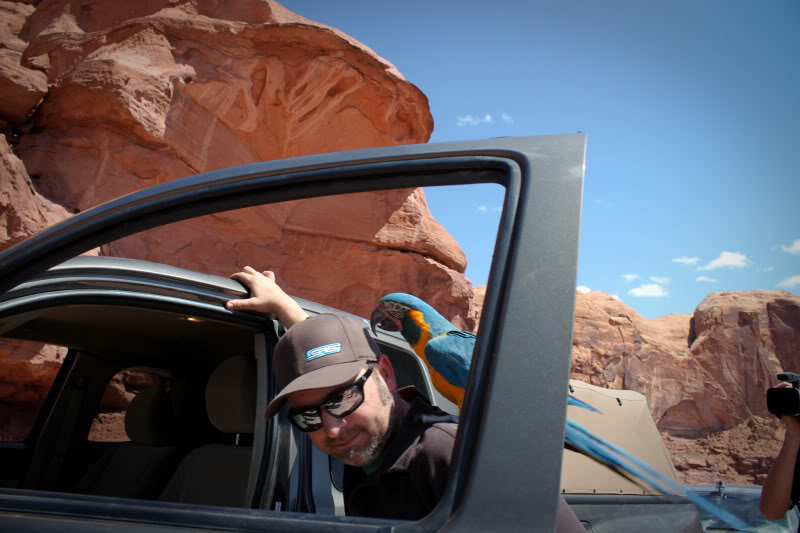 Cliffhanger-69_250400c1dd8dc053ec10255b8d4b38b441dacc0d.jpg