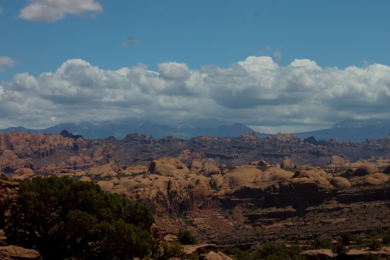 Cliffhanger-91_d6ef44edb3a897724c90f95d8d101d80c41eeefb.jpg