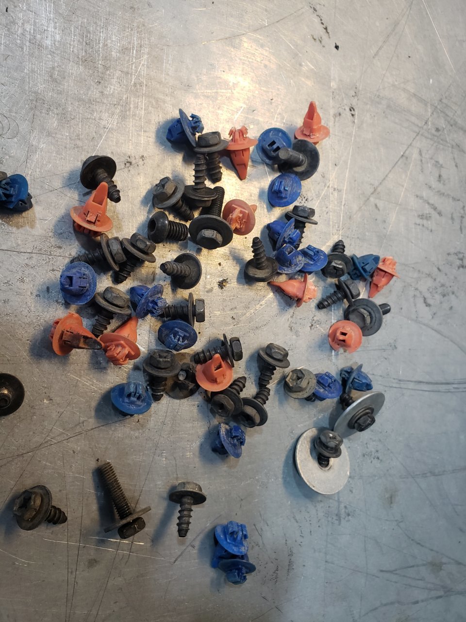 clips.jpg