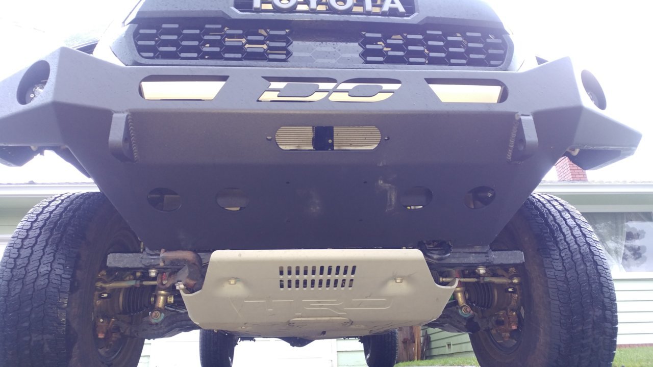 Close up.jpg