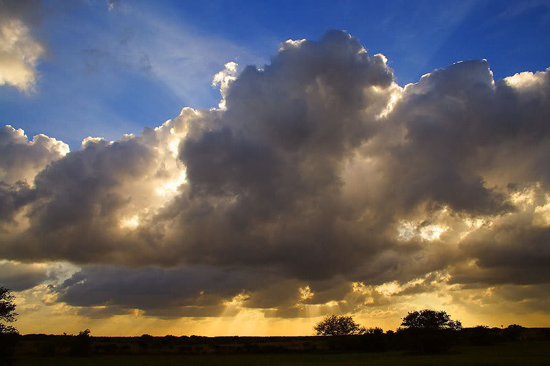 Clouds-1_794cb68c5e39e9a157ec21295a99f4e47595a67a.jpg