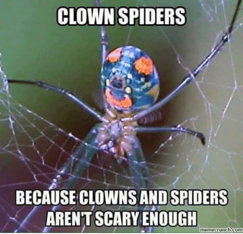 clown-spiders-because-clowns-and-spiders-arentscaryenough-meme-crunch-con-5350737.jpg