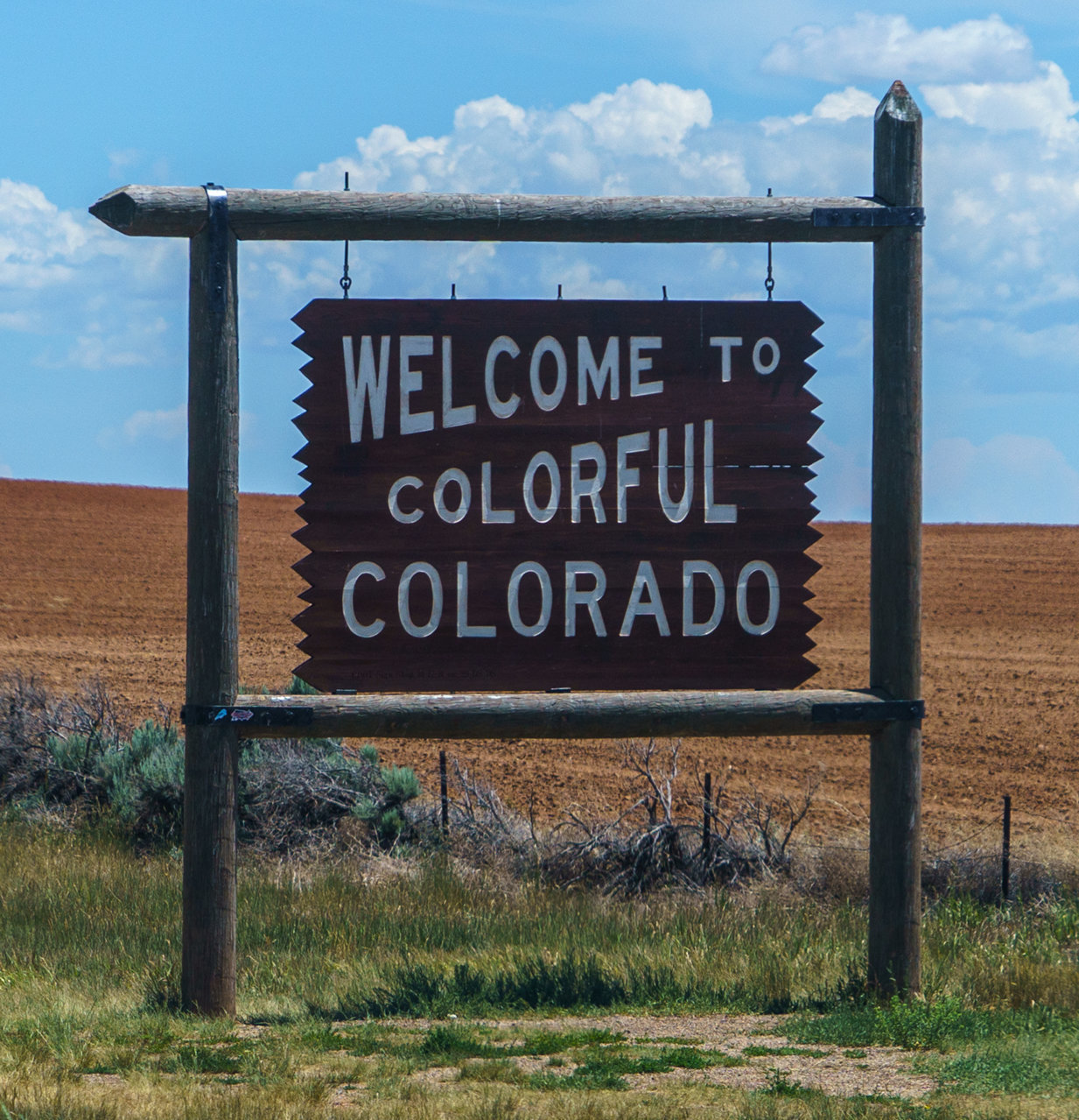 co.jpg