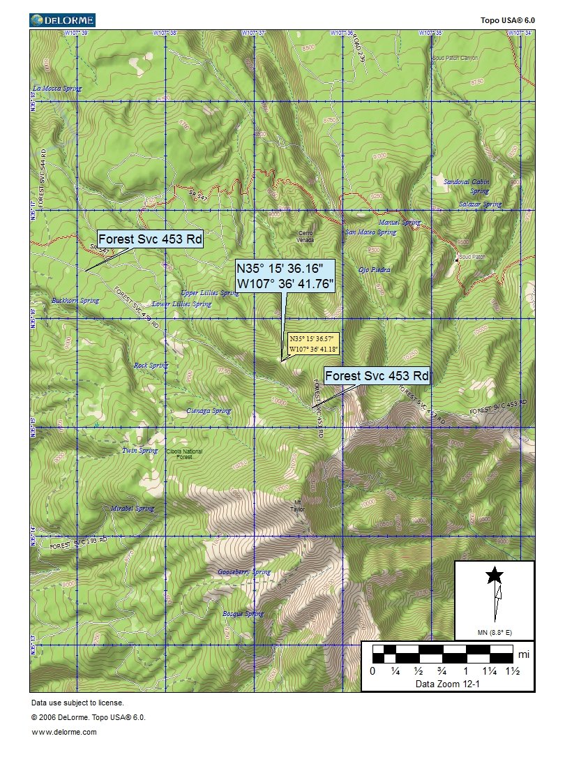 CO spruce trees.jpg