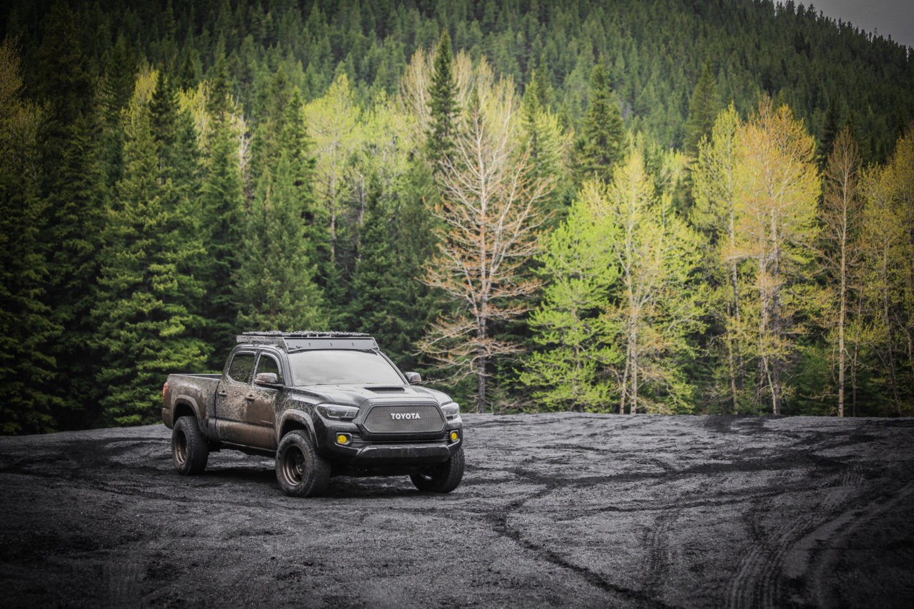 COAL TACO 3 (1 of 1).jpg