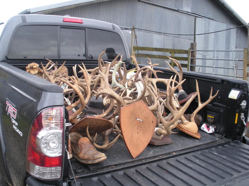 Coast Antler Pile 007.jpg