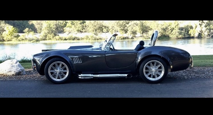 cobra.jpg