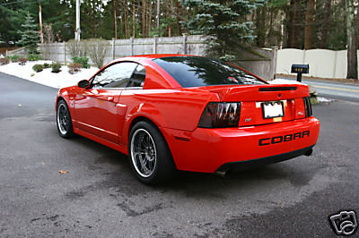 COBRA.jpg