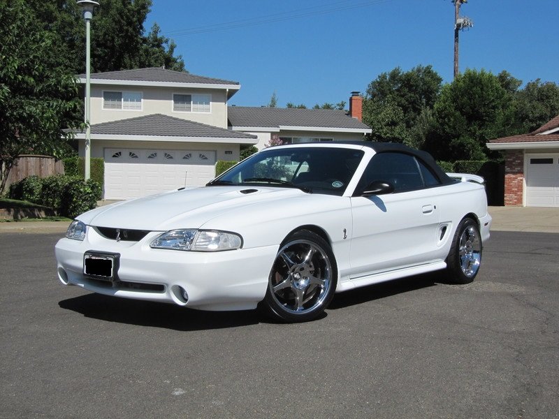 Cobra2a.jpg