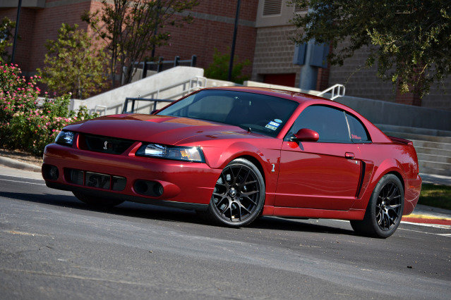 cobra4_zps56437d98_44b6d337bc95042429cf92267b50b5dcdd01a914.jpg