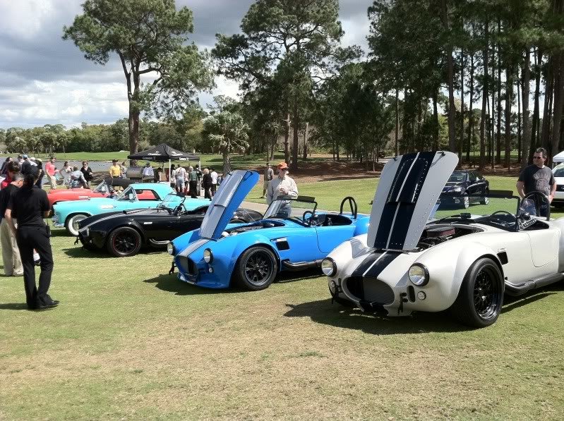 Cobras2_679b59465a09c4f96cf5a77caab636abcdd67eca.jpg