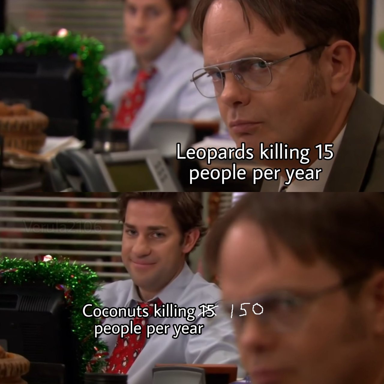 coconuts.jpg