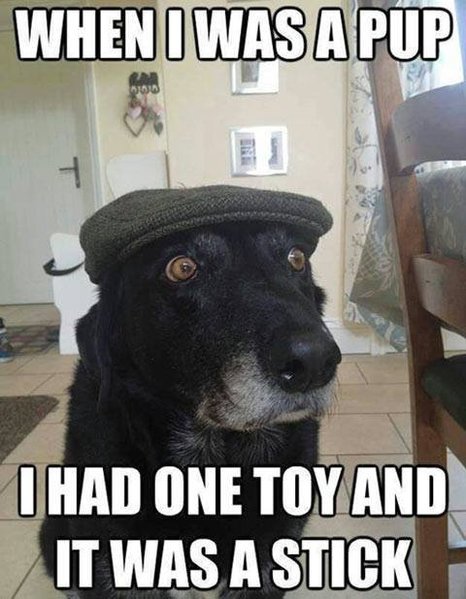 Codger.jpg