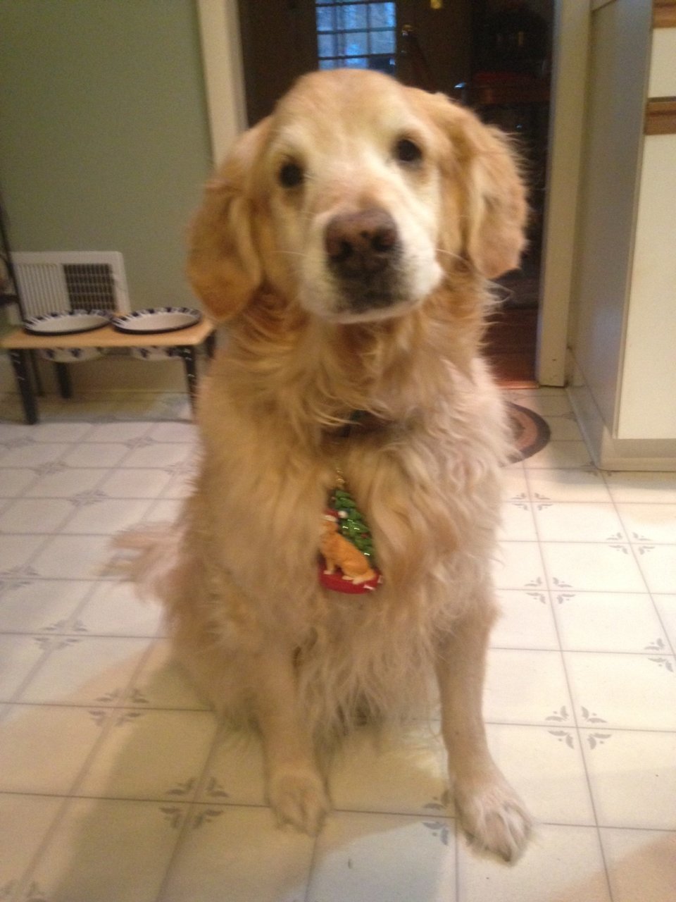 cody 12-29-17.jpg