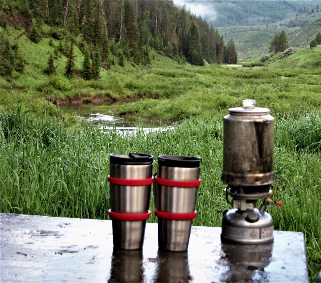 Coffee cups in Nevada - 2.jpg