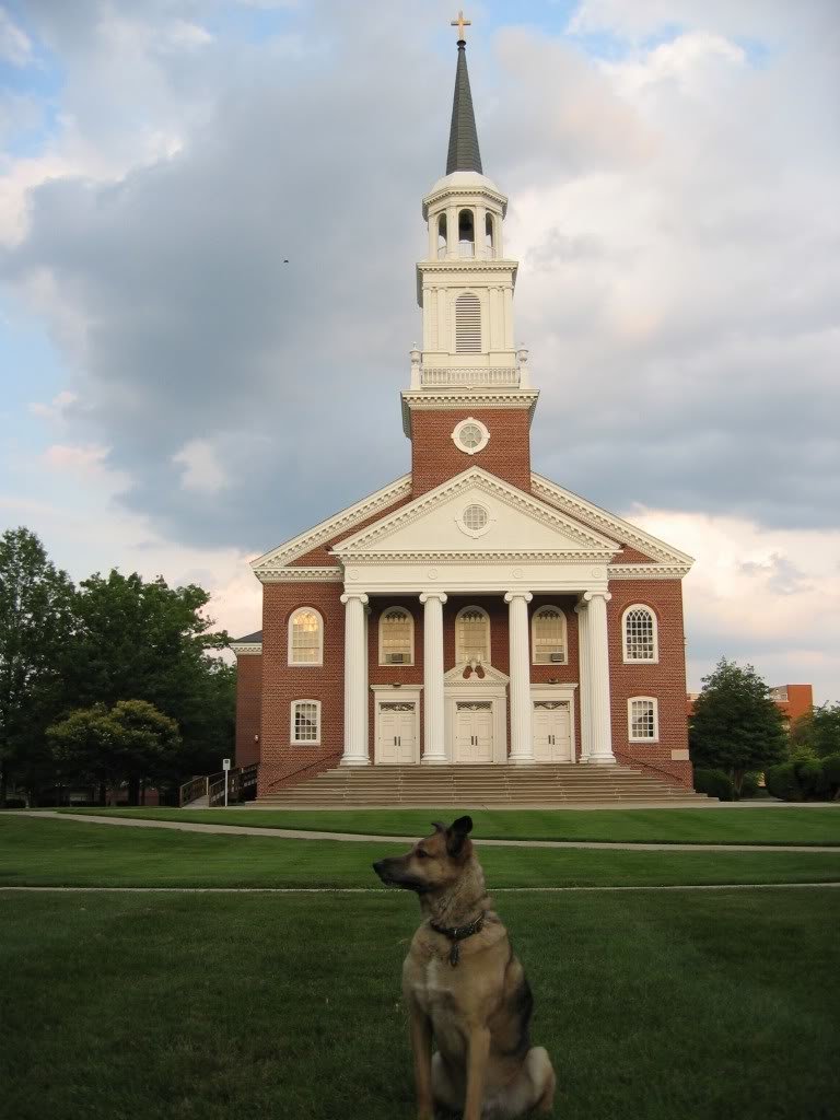 CoffmanChapelBucky_d7c8cbdc00d622de6699d4061ab7cd1d9b2d99e3.jpg