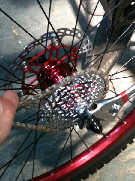 Cog 005.jpg