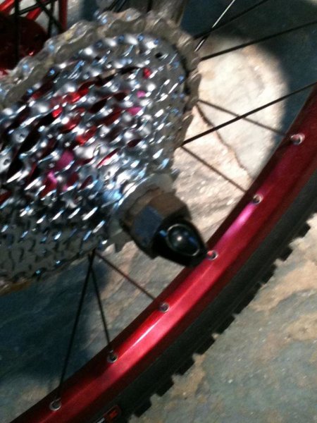 Cog 006.jpg
