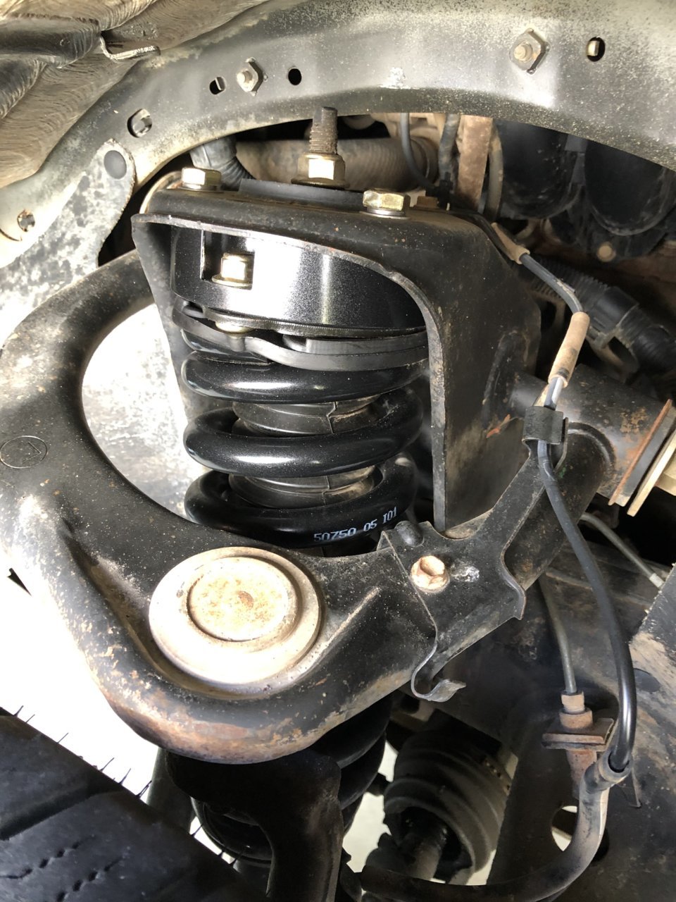 coil spring.jpg