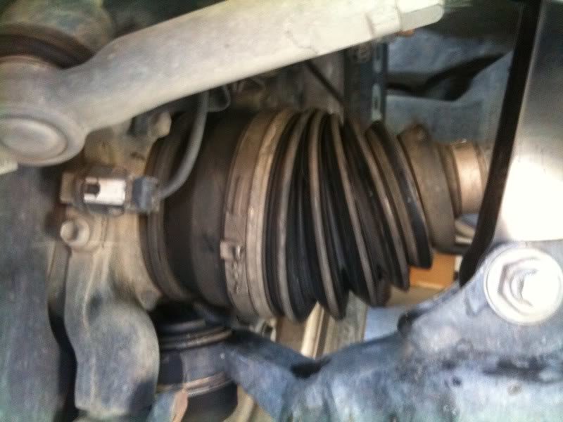 Coilover3_8279dae273555c84c591ca4d22dbab8e06af8740.jpg