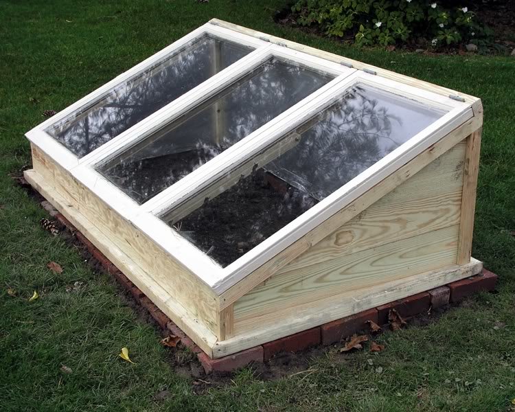 coldframe-closed_73d78ca79da44dc82fceac9a934558ce75cd05b2.jpg