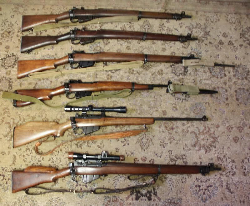 collectiom02.jpg