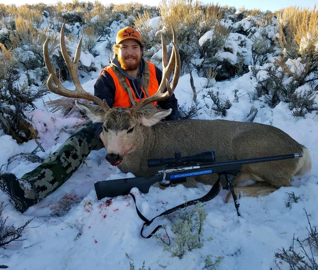 Colorado Deer Post.jpg