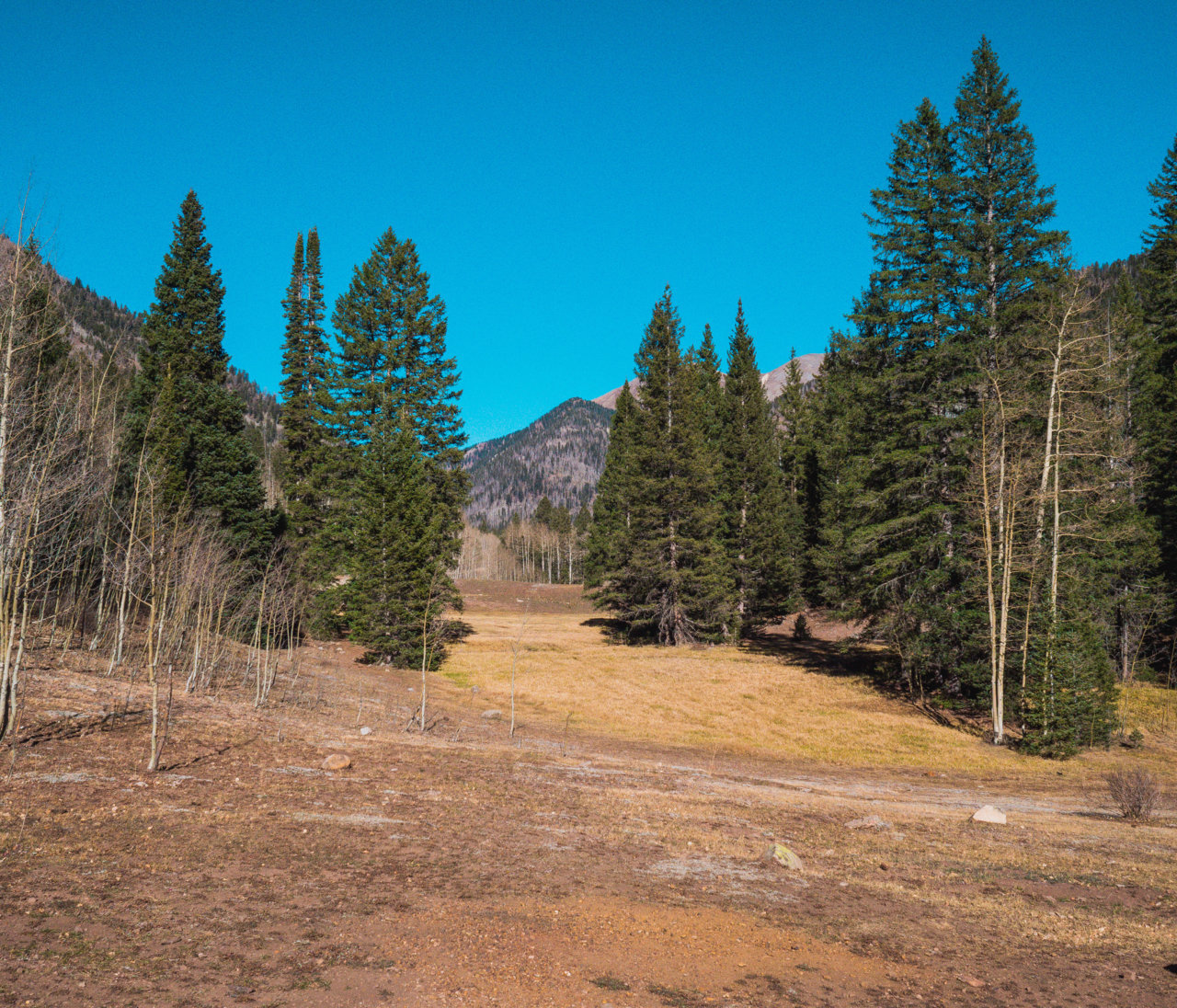 Colorado.jpg